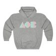 Delta Phi Epsilon Printed Letters | Dreams Hoodie Online