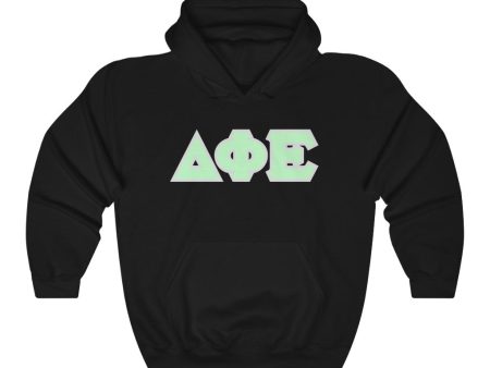 Delta Phi Epsilon Printed Letters | Mint with Grey Border Hoodie Hot on Sale