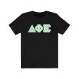 Delta Phi Epsilon Printed Letters | Mint with Grey Border T-Shirt Online Sale