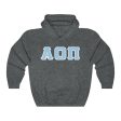 Alpha Omicron Pi Printed Letters | Light Blue & White Border Hoodie Online now