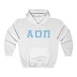 Alpha Omicron Pi Printed Letters | Light Blue & White Border Hoodie Online now