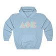 Delta Phi Epsilon Printed Letters | Dreams Hoodie Online