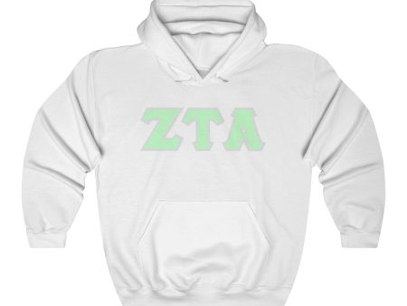 ZTA Printed Letters | Mint with Grey Border Hoodie Online