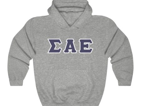 Sigma Alpha Epsilon Printed Letter Hoodie | Purple with White Border For Discount