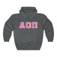 Alpha Omicron Pi Printed Letters | Bubble Gum Hoodie Sale