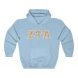 ZTA Printed Letters | Leopard Print Hoodie For Sale