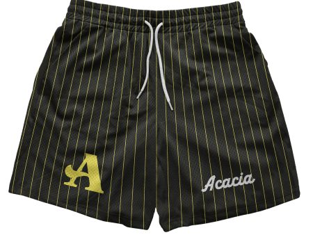 Acacia - Pinstripe Fundamental Short For Sale