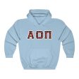 Alpha Omicron Pi Printed Letters | Buffalo Plaid Hoodie Online now