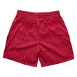 Theta Chi - Pinstripe Fundamental Short For Sale