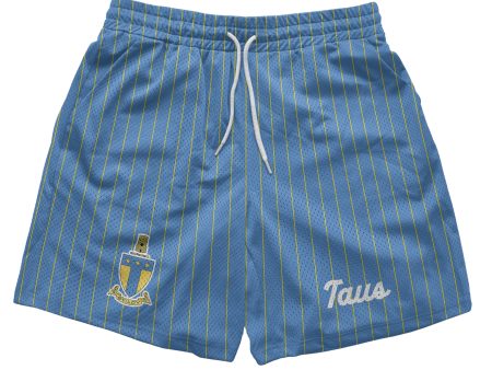 Alpha Tau Omega - Pinstripe Fundamental Short Online now