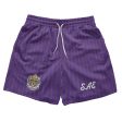 Sigma Alpha Epsilon - Pinstripe Fundamental Short Fashion