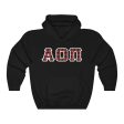 Alpha Omicron Pi Printed Letters | Buffalo Plaid Hoodie Online now