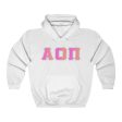 Alpha Omicron Pi Printed Letters | Bubble Gum Hoodie Sale