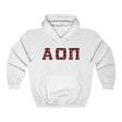 Alpha Omicron Pi Printed Letters | Buffalo Plaid Hoodie Online now