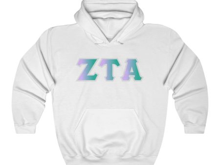 ZTA Printed Letters | Antarctica Hoodie Discount