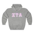 ZTA Printed Letters | Light Pink with Grey Border Hoodie Fashion