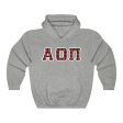 Alpha Omicron Pi Printed Letters | Buffalo Plaid Hoodie Online now