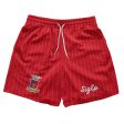 Sigma Phi Epsilon - Pinstripe Fundamental Short Supply