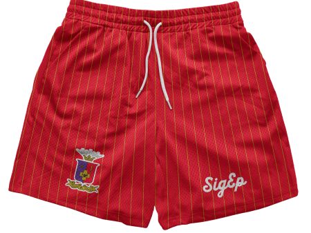 Sigma Phi Epsilon - Pinstripe Fundamental Short Supply