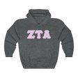 ZTA Printed Letters | Light Pink with Grey Border Hoodie Fashion